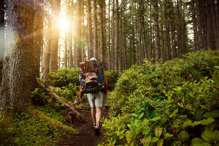 The Top 25 Hikes Around Vancouver, BC Canada