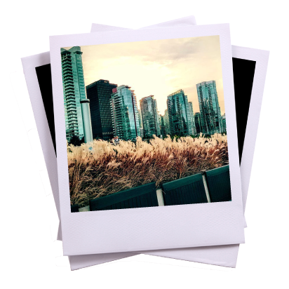 Poloroid-4