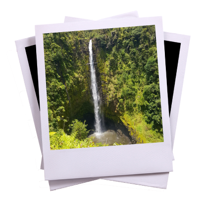 Poloroid-9